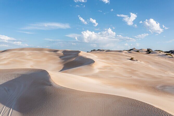 Coffin Bay National Park Half-day 4WD Tour - Discover Coffin Bay National Park on a Half-day 4WD Tour