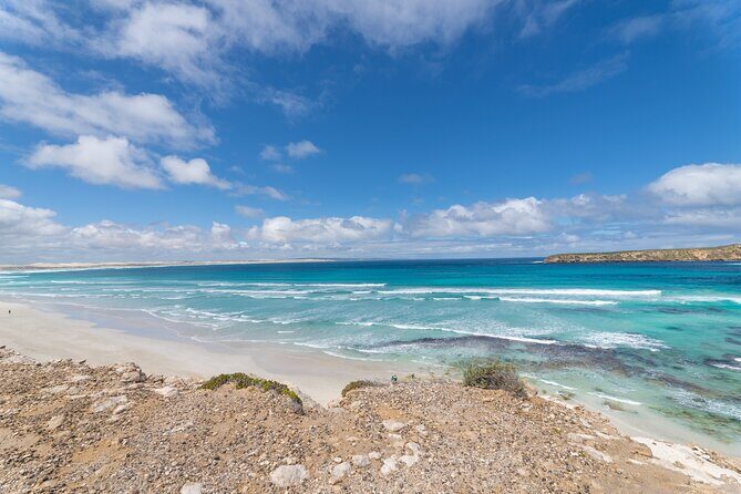Coffin Bay National Park Half-day 4WD Tour - Key Points
