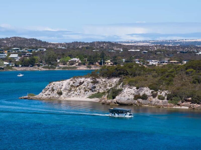 Coffin Bay: Short and Sweet Oyster Farm Tour - An In-Depth Look at the Coffin Bay Oyster Farm Tour
