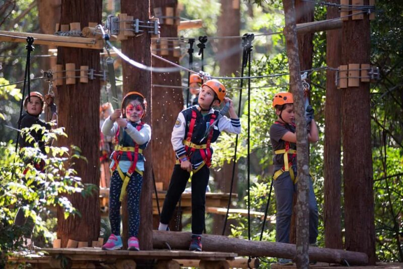 Coffs Harbour: Junior Tree Ropes Course - Is the Price Worth It?