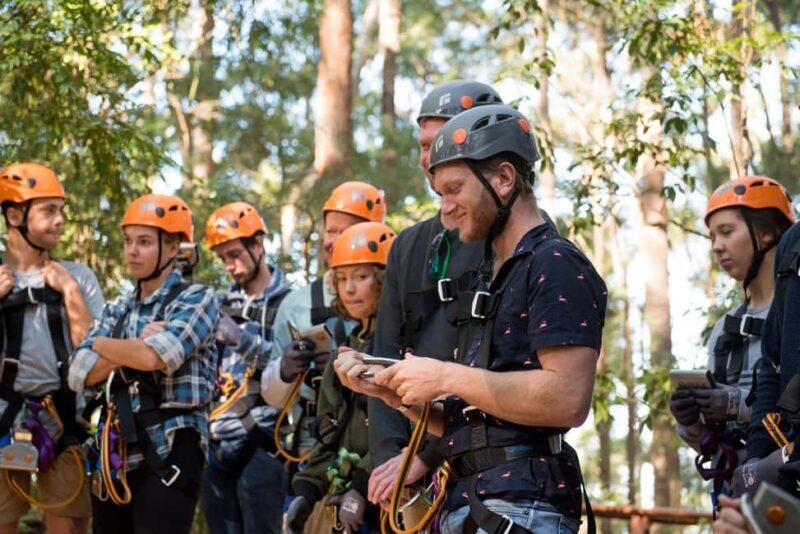 Coffs Harbour: Treetops Adventure Tree Ropes Course - The Sum Up
