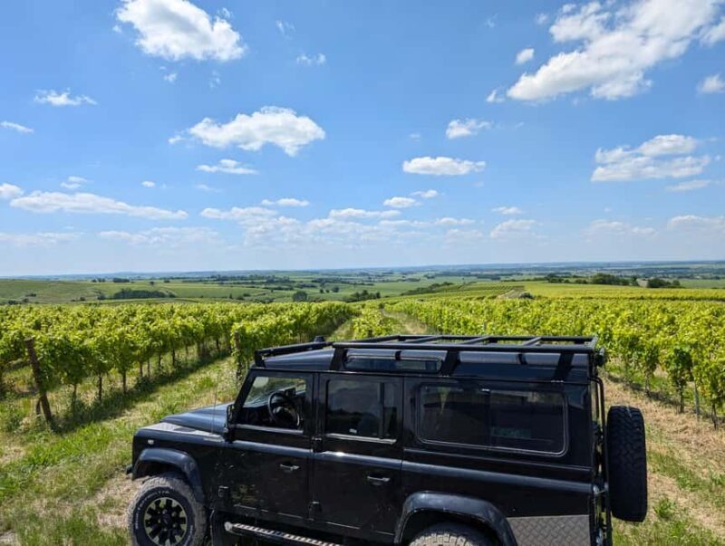 Cognac: 4x4 vineyard tour and cocktail - Key Points