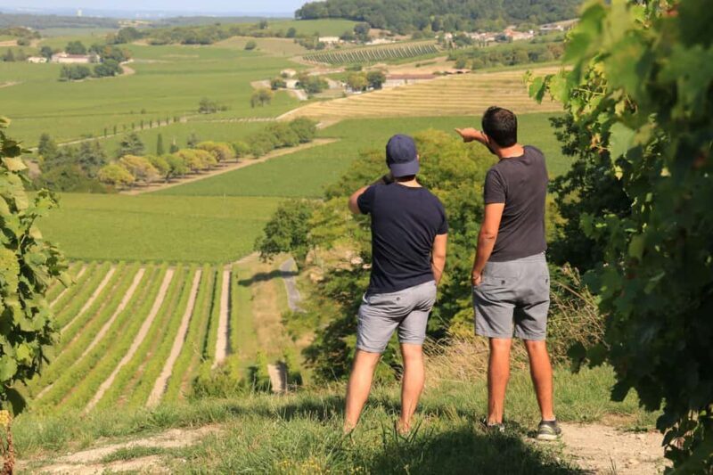 Cognac: 4x4 vineyard tour and cocktail - Why This Tour Offers Great Value