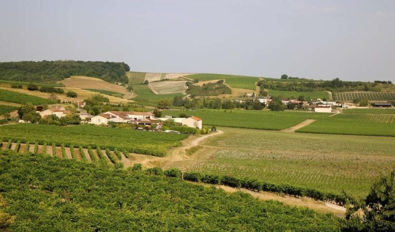 Cognac Private Guided Walking Tour - Exploring the Cognac Private Guided Walking Tour: A Journey Through History and Heritage