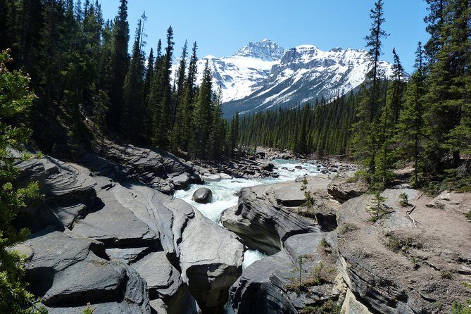 Coho - Explore Banff and Jasper National Parks (4-Days) - Frequently Asked Questions