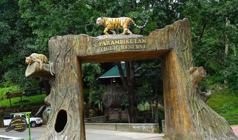 Coimbatore Day Tour: Forest, Wildlife & Hill Station Trip - A Deep Dive into the Experience