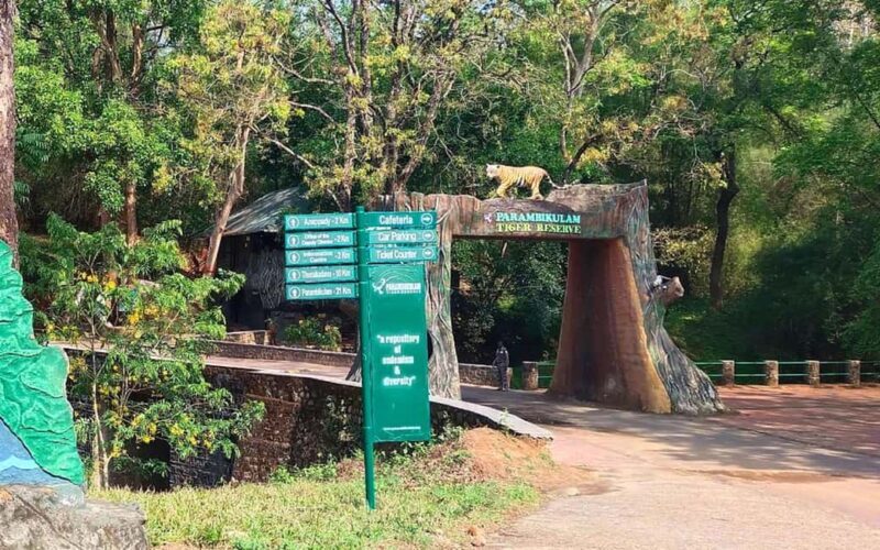 Coimbatore Day Tour: Forest, Wildlife & Hill Station Trip - The Sum Up