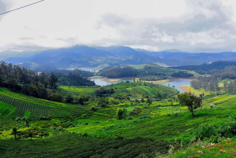 Coimbatore: Ooty Day Trip with Private Cab - A Detailed Look at the Ooty Day Trip from Coimbatore