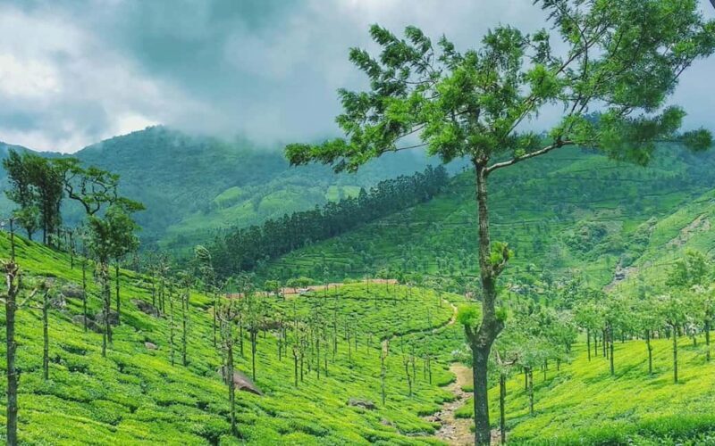 Coimbatore to Hill Station & Wildlife Safari 2-Days Tour - Frequently Asked Questions