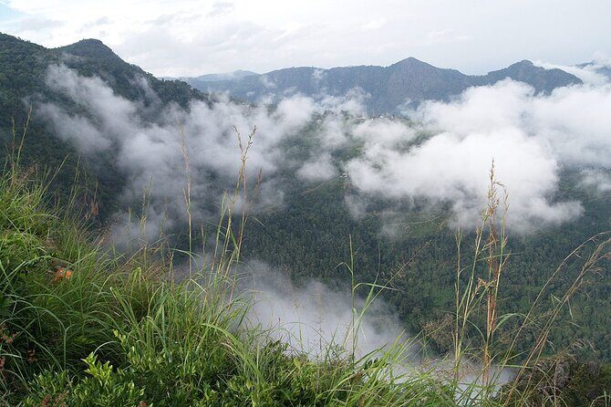 Coimbatore to Ooty- transfers+Hotel+Sightseeing - Key Points