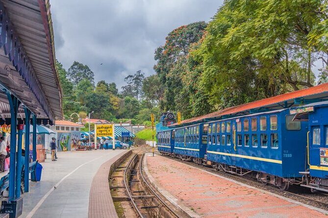 Coimbatore to Ooty- transfers+Hotel+Sightseeing - An In-Depth Look at the Coimbatore to Ooty Tour