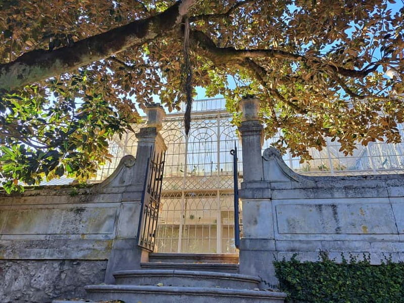 Coimbra Botanical Garden Tour: Storytelling Through Nature - Key Points