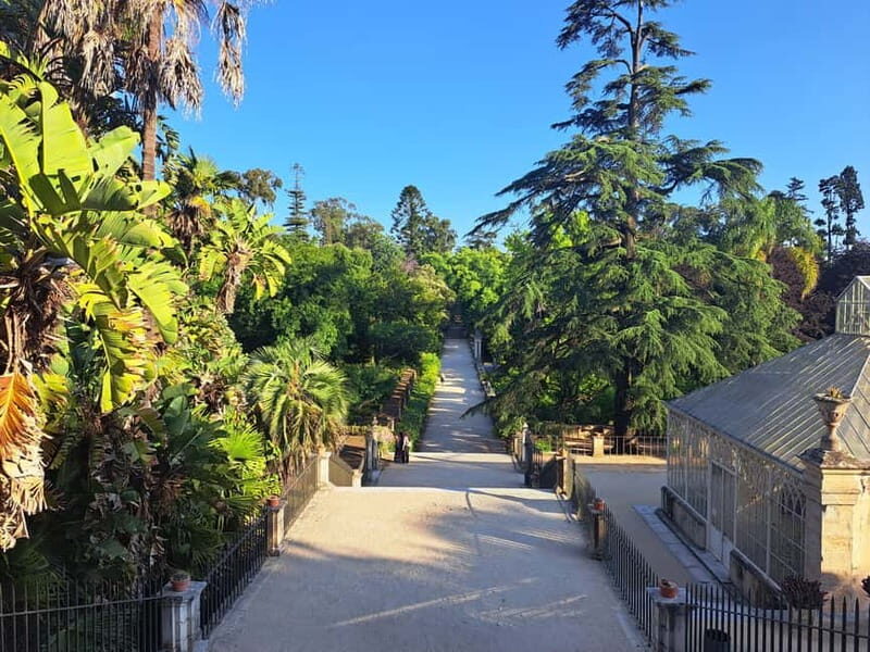 Coimbra Botanical Garden Tour: Storytelling Through Nature - Who Should Consider This Tour?