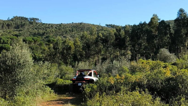 Coimbra - Condeixa: 180-minute Off-road Buggy Adventure - The Sum Up