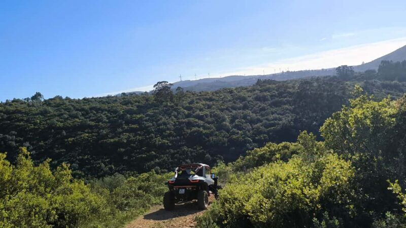 Coimbra - Condeixa: 60-minute Off-road Buggy Adventure - Who Will Love This Tour?