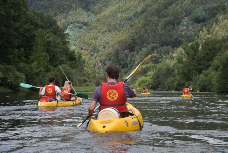 Coimbra: Mondego River Kayaking Tour - A Deep Dive into the Coimbra: Mondego River Kayaking Experience