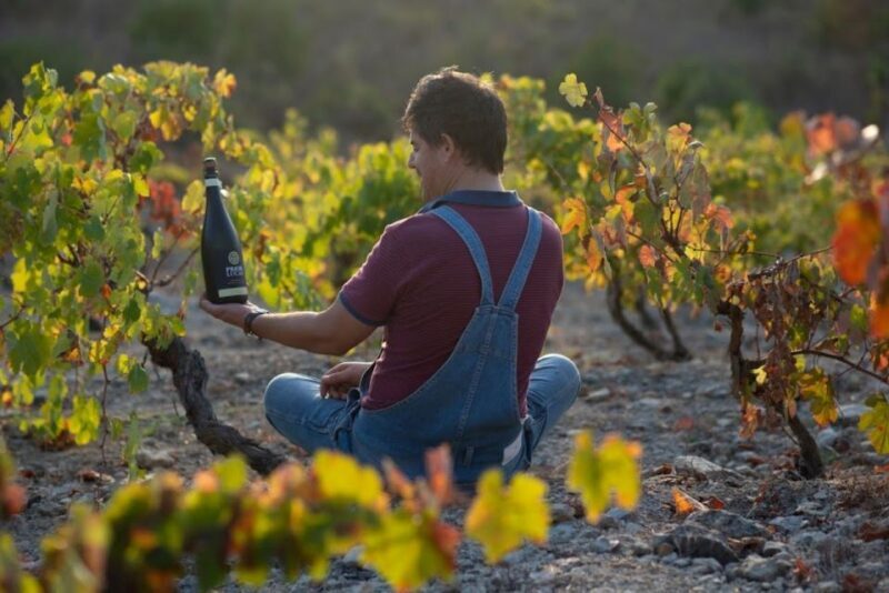 Coimbra: Prior Lucas Wine Experience - Key Points