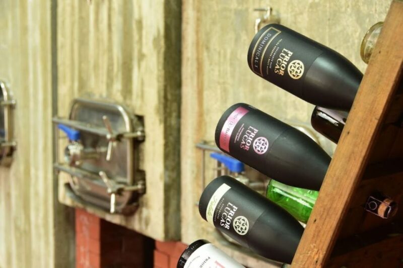 Coimbra: Prior Lucas Wine Experience - Exploring the Prior Lucas Wine Experience in Coimbra