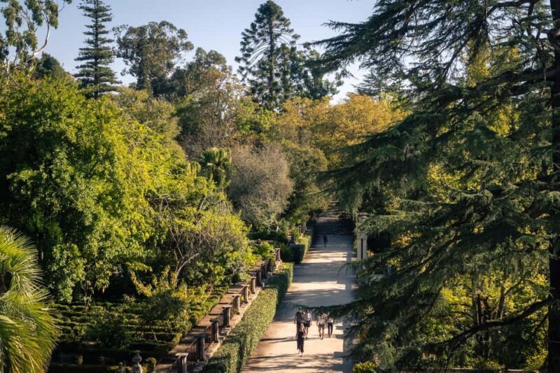Coimbra: Private & Flexible Walking Tour in Historic Center - The Sum Up