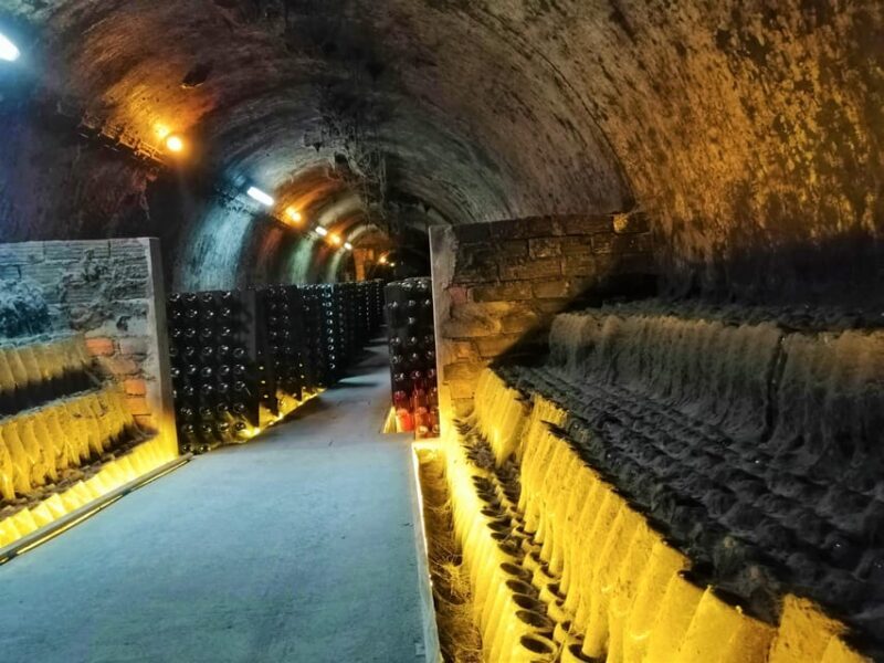 Coimbra: Rota da Bairrada gastronomic tour - FAQs