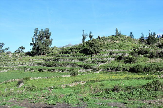 Colca Canyon / 2 Day 1 Night Trek - Key Points