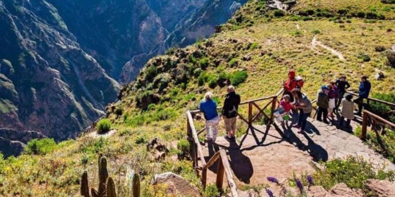 Colca Canyon Day Trip + Transfer to Puno with Meals - Exploring the Full Day Itinerary