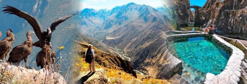 Colca Canyon Tour 2 Days Connection Puno - An In-Depth Look at the Colca Canyon 2-Day Tour