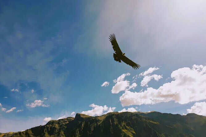 Colca Canyon Tour 2 Days - Practical Details & Tips