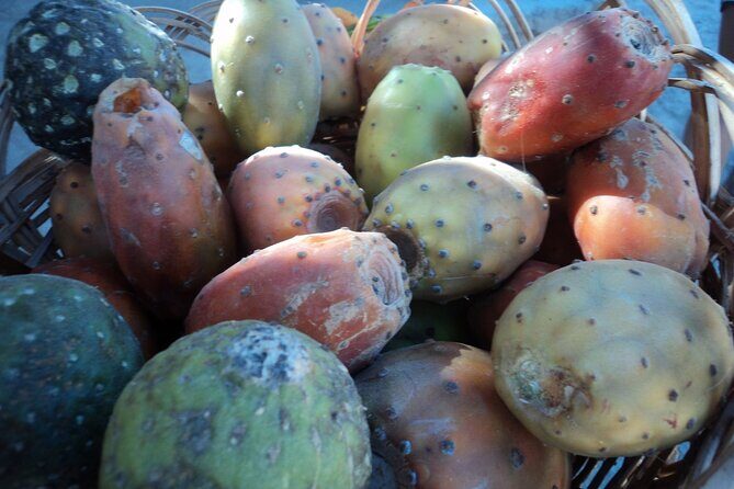 Colca Canyon Tour 2 Days - Final Thoughts: Who Should Consider This Tour?