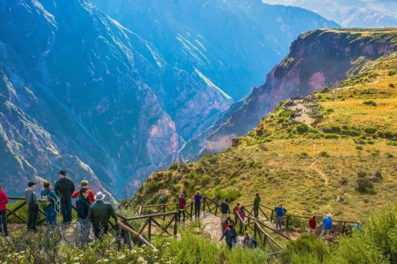 Colca Canyon Tour 2 days from Arequipa with 1 night in Colca - The Sum Up