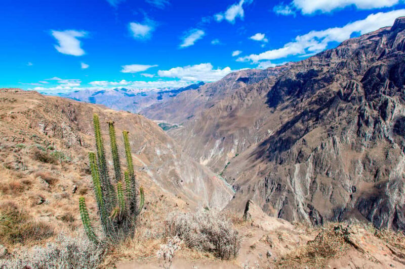 Colca Canyon Trekking 2 days - Final Thoughts