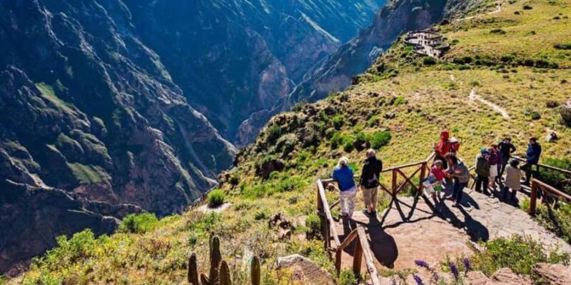 Colca Canyon Trip 2 Days + Transfer to Puno with Meals - Key Points