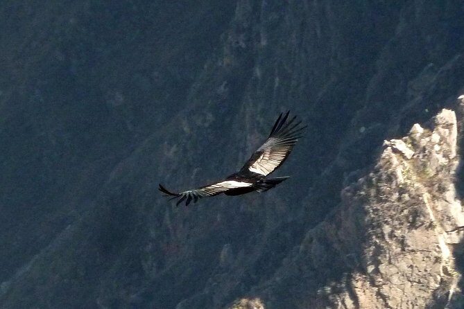 Colca Trek - 2 Days Tour - Key Points