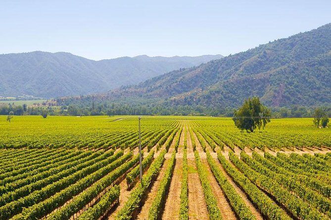 Colchagua Full Day Wine Tour: Casa Silva & L'Apostolle Wineries - Key Points
