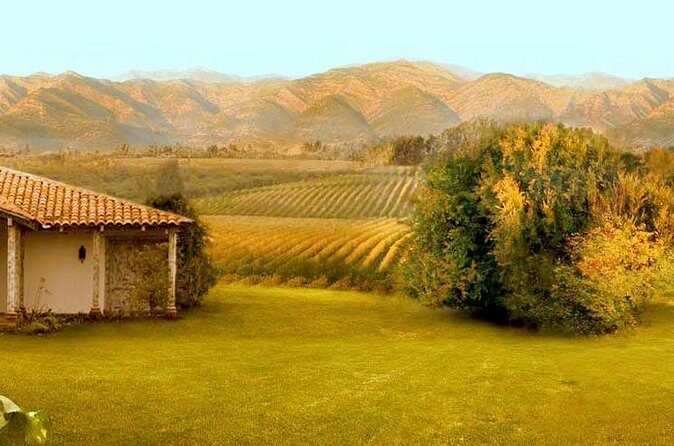 Colchagua Full Day Wine Tour: Casa Silva & L'Apostolle Wineries - A Deep Dive Into the Tour Itinerary