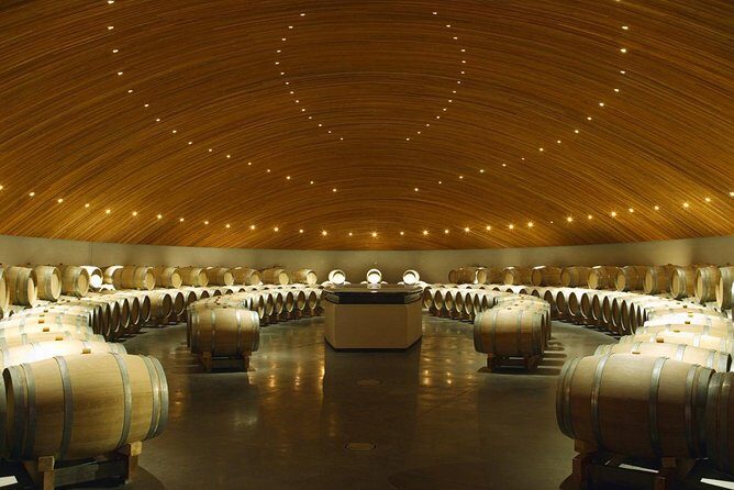 Colchagua Valley Experience - A Deep Dive Into the Colchagua Valley Experience