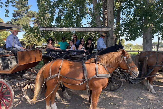 Colchagua Valley Private Tour: Montes + Clos Apalta - Practical Details That Matter