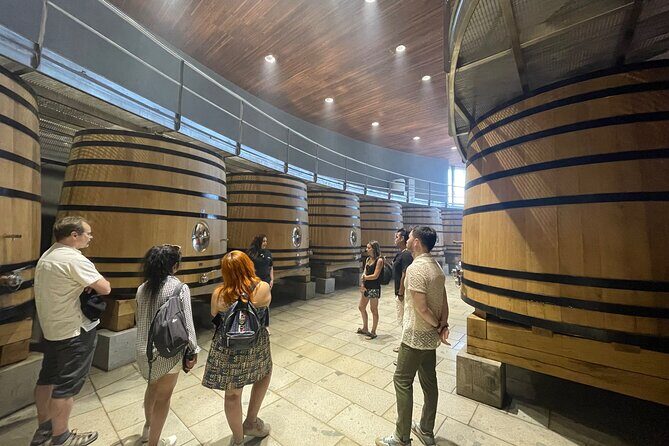 Colchagua Valley Private Tour: Montes + Clos Apalta - The Sum Up