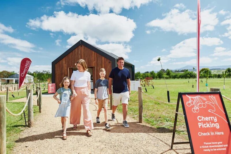 Coldstream: Cherry-Picking Experience - In-Depth Look at the Coldstream Cherry-Picking Tour