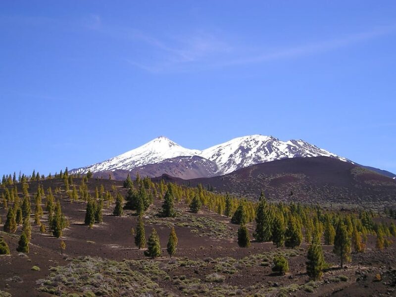 Collective Adventure: Travel & Volunteer in Tenerife - Exploring Tenerife with Impact Journey Collective