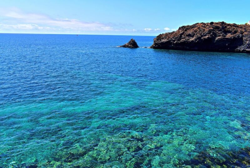 Collective Adventure: Travel & Volunteer in Tenerife - Practical Tips for Travelers