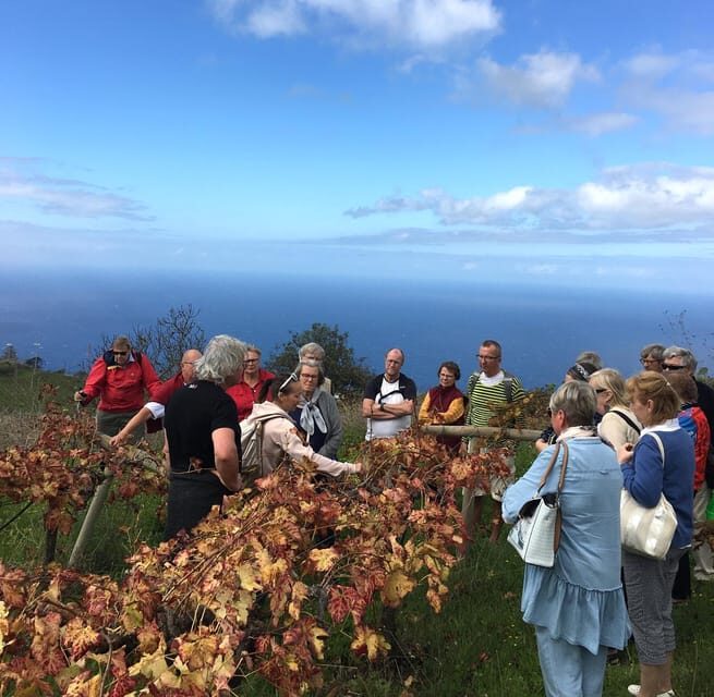 Collective Adventure: Travel & Volunteer in Tenerife - Who Should Consider This Tour