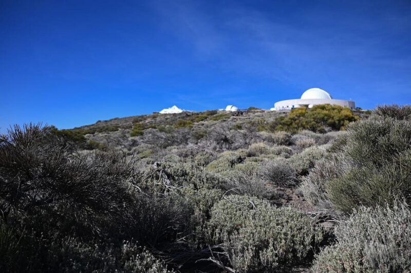 Collective Adventure: Travel & Volunteer in Tenerife - The Sum Up