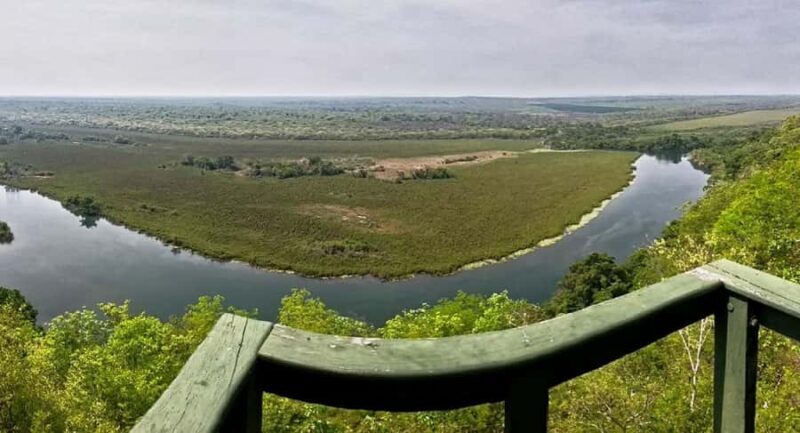 Collpa Guacamayo 2D Excursion | Jungle sunset | - Exploring the Jungle with Zarate Adventours: The Collpa Guacamayo 2D Excursion