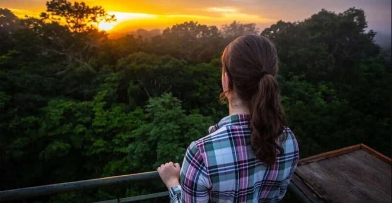 Collpa Guacamayo 2D Excursion | Jungle sunset | - Who This Tour Is Perfect For