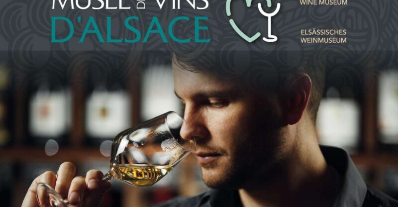 Colmar: Alsace Wine Museum Entrance Ticket - Who Will Love This Experience?