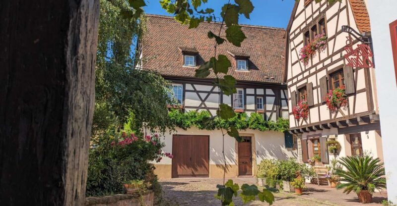 Colmar: Unusual Walking Tour with a local guide - Key Points