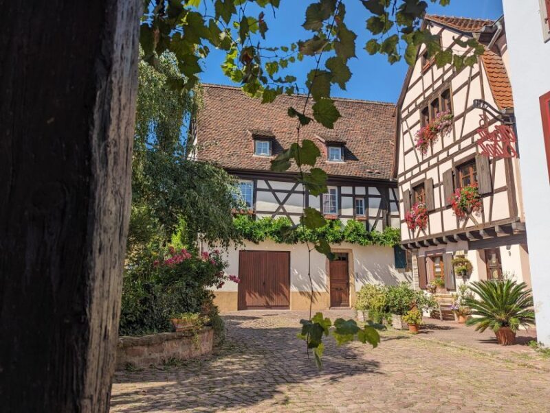 Colmar: Unusual Walking Tour with a local guide - The Value of a Guided Walk