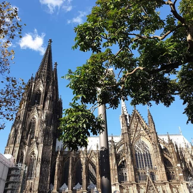 Cologne Biathlon Tour - A Deep Dive into the Cologne Biathlon Tour