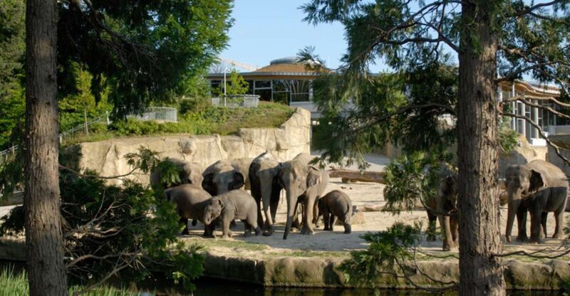 Cologne: Cologne Zoo and Aquarium Entry Ticket - A Deep Dive into Cologne Zoo and Aquarium